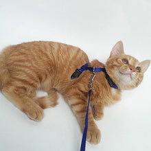 Load image into Gallery viewer, Adjustable Pet Cat Collar For Cats Cozy Nylon Rabbit Kitten Kedi Harness Leash Set Dog Cat Accessories Products For Pets

