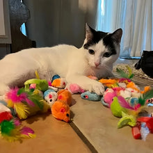 Load image into Gallery viewer, Mixed Pack Multi-Cat Toy Bundle
