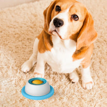 Load image into Gallery viewer, Pet Feeding Accessories Dog Treat Toy Puzzle Toys For Bored Puppy Slow Feeder Puppy Supplies For Healthy Eating Food Crate
