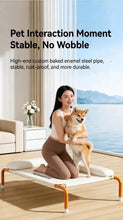 Load image into Gallery viewer, Pet Furniture Mesh Elevated Dog Beds Breathable Removable Raised Dog Bed with Pillow Outside Dog Bed Cat Patio Sunbathing

