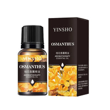 Load image into Gallery viewer, 17 Flavors 10ml Essential Oils For Aroma Diffuser AirHumidifier Home Water-soluble Lavender Rose Eucalyptus  White Peach Oolong
