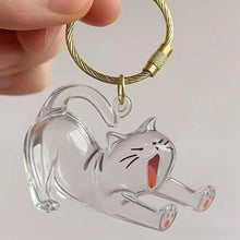 Load image into Gallery viewer, New Cat Hair Storage Keychain Bag Pendant Transparent Pet Fur Keepsake Capsule Souvenir Collection Gift Decoration Accessories
