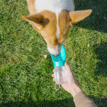 Load image into Gallery viewer, Pet Dog Water Bottle 300ML Puppy Drinking Bowls For Small Medium Dogs Cats Hiking Portable Cat Feeder Golden Retriever Supplies
