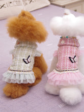 Load image into Gallery viewer, Dog clothes Princess Dress &amp; Jacket For Pets, Suitable For Poodle, Maltese, Yorkshire Terrier In Spring And Autumn
