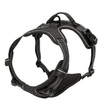 Load image into Gallery viewer, Complete Dog Collar Harness Set
