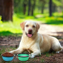 Load image into Gallery viewer, Collapsible Lidded Travel Water Dish
