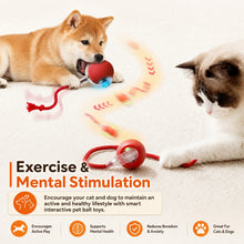 Load image into Gallery viewer, Smart Automatic Rolling Dog Ball

