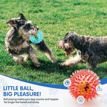 Load image into Gallery viewer, Pet dog toy, rubber tennis ball, prick ball, squeaking, grinding teeth, relieving boredom, accompanying various dogs of all size
