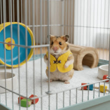 Load image into Gallery viewer, Retro Buckle Small Pet Jacket
