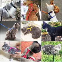 Load image into Gallery viewer, Adjustable Pet Cat Collar For Cats Cozy Nylon Rabbit Kitten Kedi Harness Leash Set Dog Cat Accessories Products For Pets
