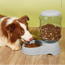 Load image into Gallery viewer, Cat and Dog Feeders Pet Water Dispensers Large Water Storage Capacity Dispensers Pet Automatic Water Dispensers Anti Knock
